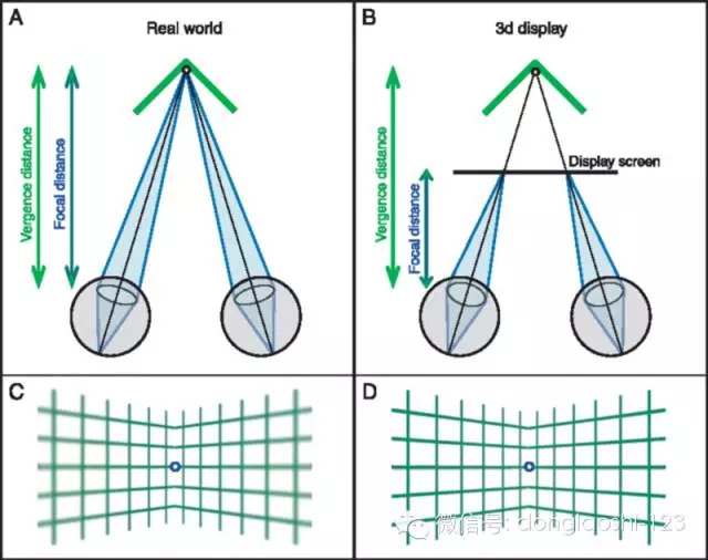webwxgetmsgimg (19).jpg