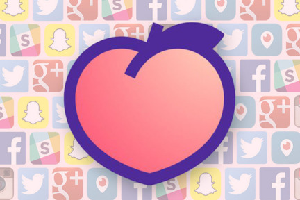 不许批评创业公司，你们这些黑 ！