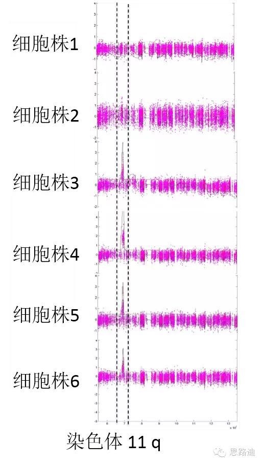 7.pic.jpg