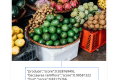 Google云平台上线图像识别API